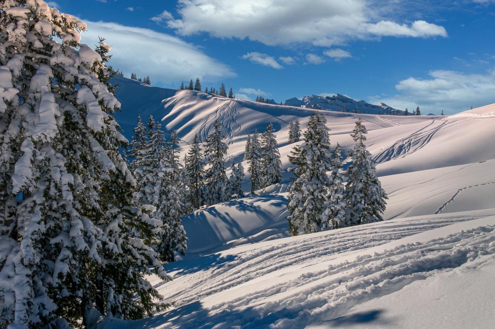 Appartement A La Montagne Champéry Zewnętrze zdjęcie